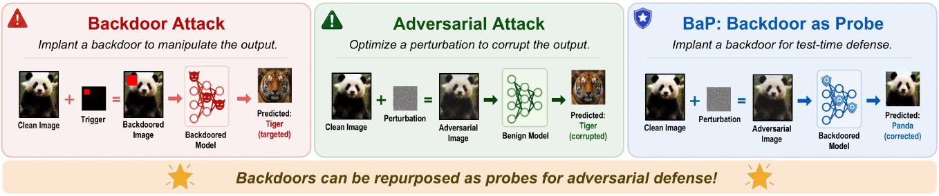 Comparison of a backdoor attack, an adversarial attack, and BaP as a defensive probe